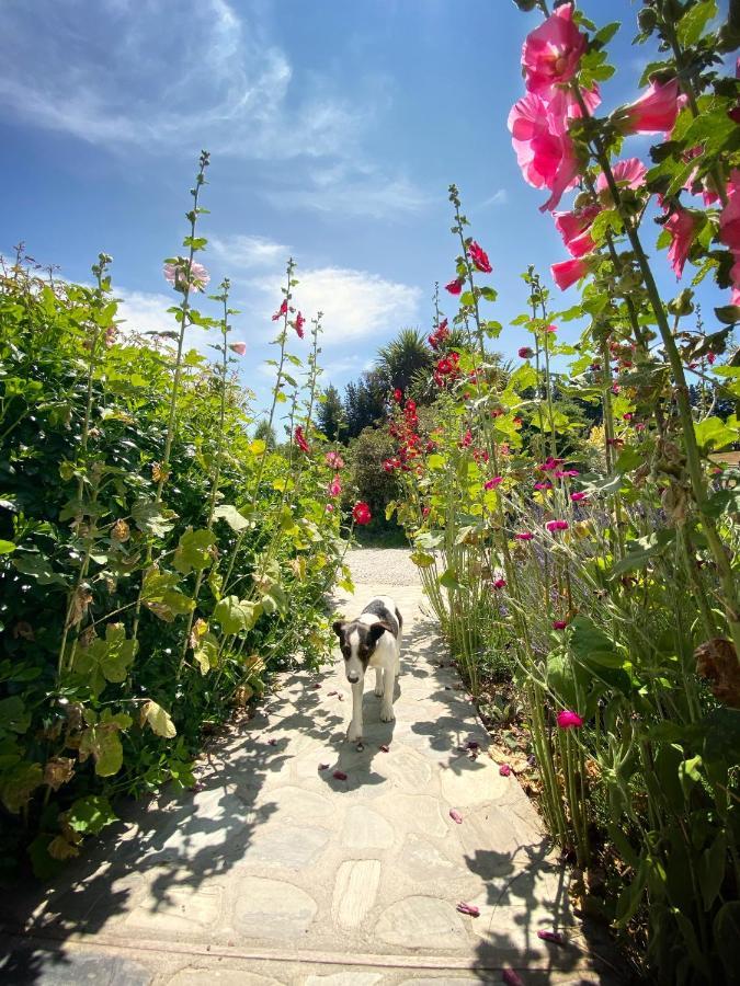 شقة Mitchella Farm واناكا المظهر الخارجي الصورة